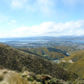 Blick von der Radarstation hinuter auf Wellington
