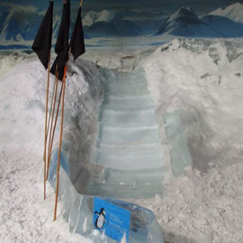 Eisrutsche im International Antarctic Centre