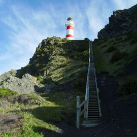 258 Stufen zum Cape Palliser Lighthouse