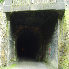 Karangahake Gorge Tunnel