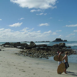 Wellenreiter in der Tauranga Bay