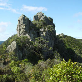 Felsen auf dem Mt. Mania