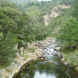 Karangahake Gorge