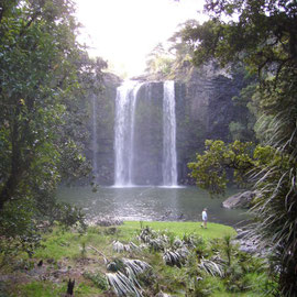 Whangarei Falls