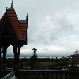 Blick vom Dach des Roturoa Museums