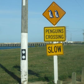 Pinguins Crossing Sign