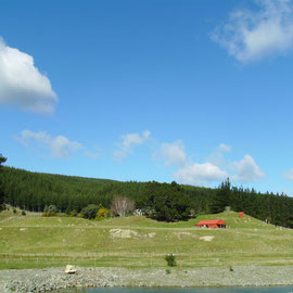 Burton Silvers Grundstück in der Wairapa