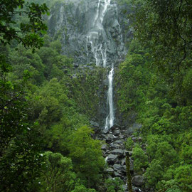 Die 150m hohen Wairere Falls