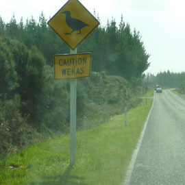Caution, Wekas Crossing