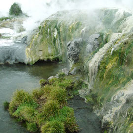 Wasserfälle in TePuia