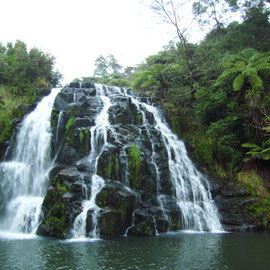 Karangahake Gorge Wasserfall