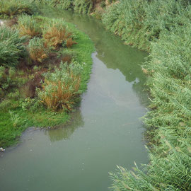 Rio Serpis a su paso por Gandía