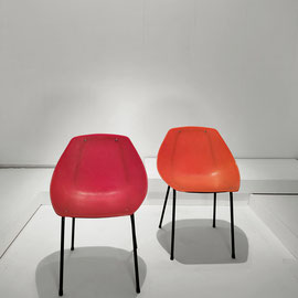 Pierre Guariche French Designer Coquillage Chairs for Meurop, Belgium, 1961 PN.Modern pnmoder