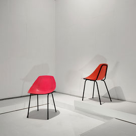 Pierre Guariche French Designer Coquillage Chairs for Meurop, Belgium, 1961 PN.Modern pnmoder