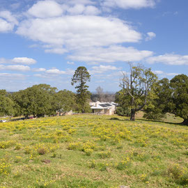 Mount Gilead, Sydney - Conservation Management Plan heritage landscape inputs