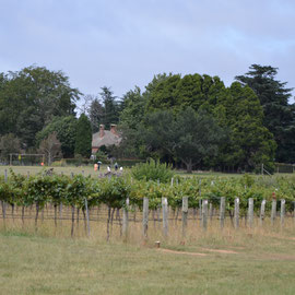 Palmerston, Armidale - Conservation Management Plan heritage landscape inputs