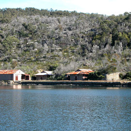 Bantry Bay, Sydney