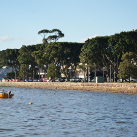 Yarranabbe Park, Sydney - heritage study