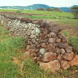 Kiama dry stone walls - heritage study and mapping