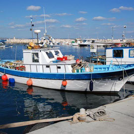 Larnaka Fishing Boats