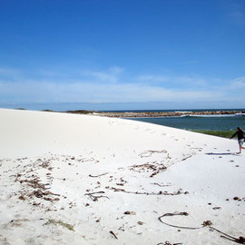 Blown sand near Olifantbos Bay (c) Peg Murray Evans