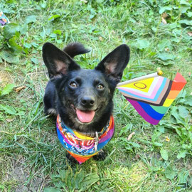 FRIDA