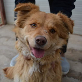 MARI