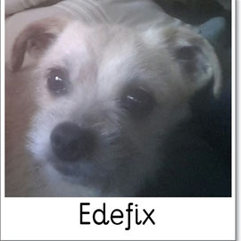 Edefix