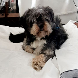 MATHEO
