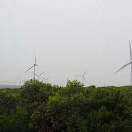 Die Windmühlen Farm