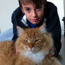 Francesco e Leon