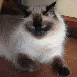 Lisa Orpa (Suzi)