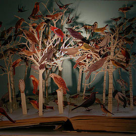 Birds of the open Forest, 2006.