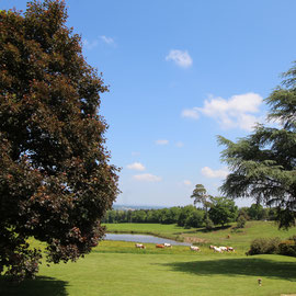 Le Vieux Domaine, au Masbareau,la vue du Gite rural de caractère, tout confort en peine nature à Royères en Limousin, prox Limoges, St Léonard-de-Noblat,Haute-Vienne, Nouvelle Aquitaine