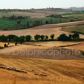 Delphicaphoto - Tuscany