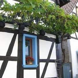 Dorfleben