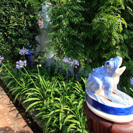 Terraza Andaluza Restaurante La Tirana - La Tirana Restaurant´s Andalusian terrace