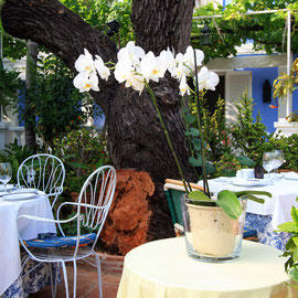 Terraza Andaluza Restaurante La Tirana - La Tirana Restaurant´s Andalusian terrace