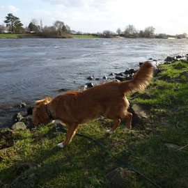 Das Wasser lockt!