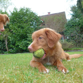 Ihr Blick ist eindeutig! Das ist und bleibt mein Ball!