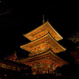 JAPÃO - Japão Kyoto Palácio Dourado Prefeitura De Kyoto