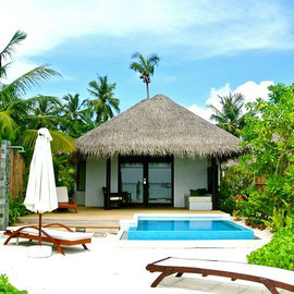 Maldivas Coqueiro Mar Resort Verão Férias