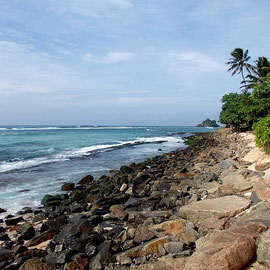 SRI LANKA Praia Mar Oceano Água Sri Lanka
