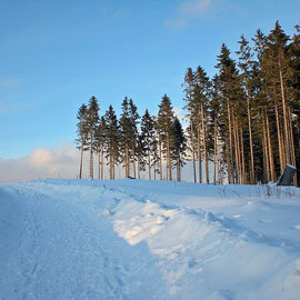 ALEMANHA, INVERNO DE RESINA