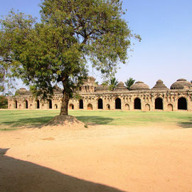 ÍNDIA -Elefantes Estáveis Hampi Índia