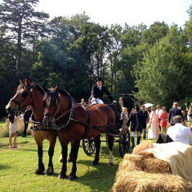 Attelage prestige