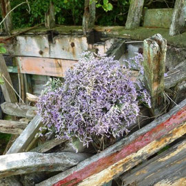 Composition bateau-fleur