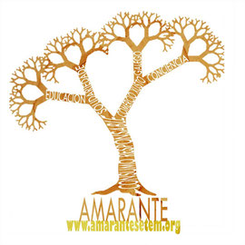 www.amarantesetem.org