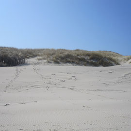 Der Strand von Wangerooge