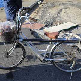 蛸を捕る引っ掛け棒を備えた自転車。カゴには捕った蛸（2012年1月撮影）